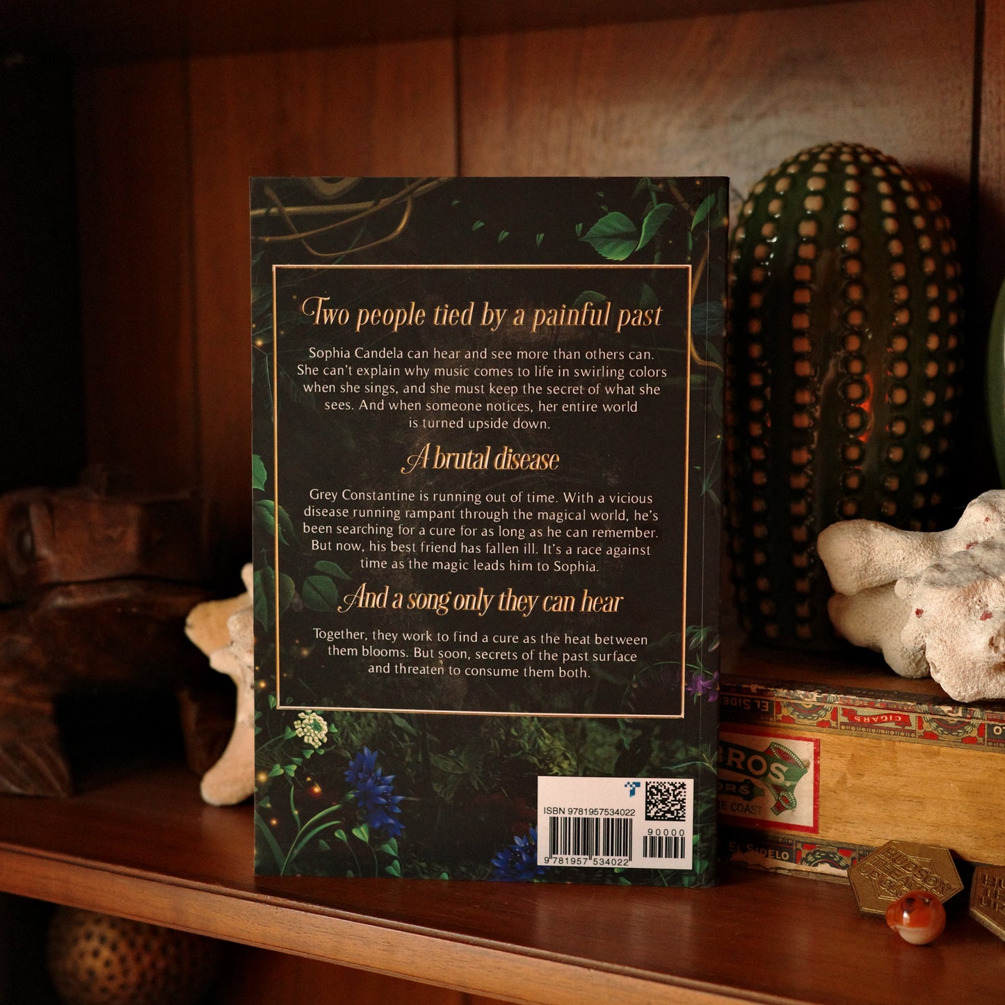 Song of Magic by Carolina Castillo Back Book Synopsis